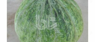 "BT DAMGA" qovun urug'lari - Narx so&#039;rov asosida