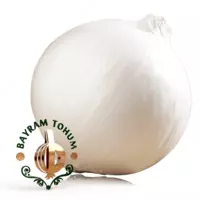 Семена лука АЛБА