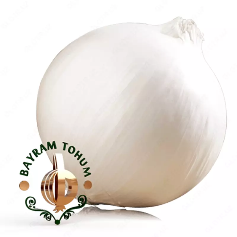 Семена лука АЛБА