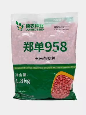 Семена кукуруза сорт 958 (оригинал)