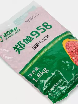 Семена кукуруза сорт 958 (оригинал) - 50 000 сум / кг