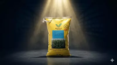 Семена люцерна