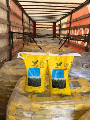  Семена люцерна - 