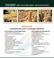 Makkajuxori urug‘i CASSEED 8716