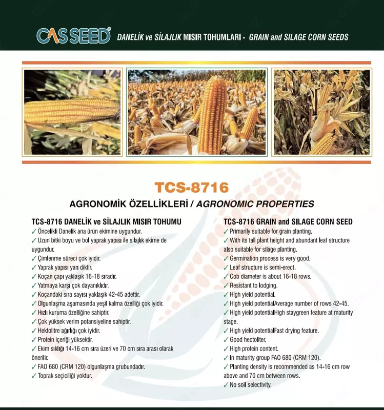 Makkajuxori urug‘i CASSEED 8716