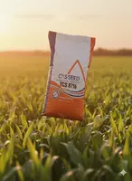  Makkajuxori urug‘i CASSEED 8716 - 