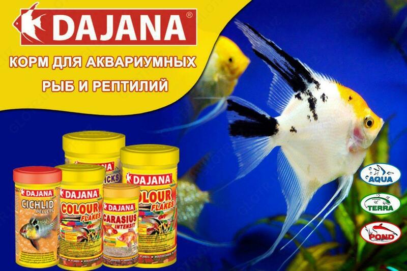Dajana - корма для рыб