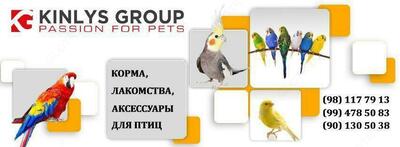 Kinlys - корма и лакомство для птиц