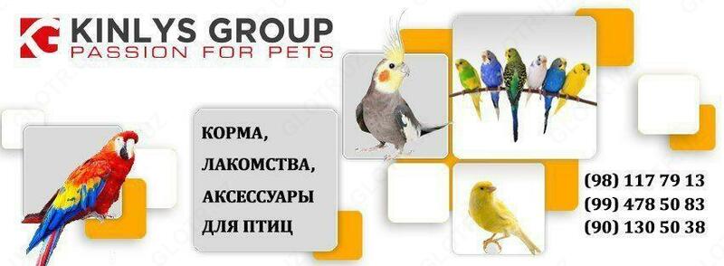 Kinlys - корма и лакомство для птиц