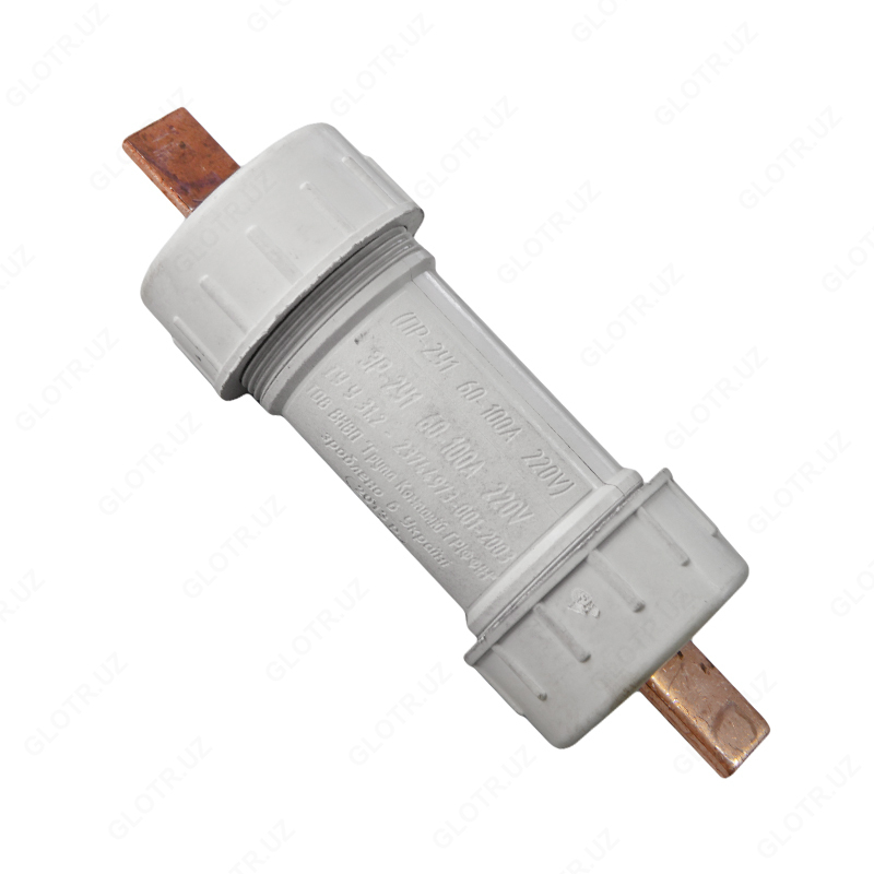 Sug'urta ushlagichi PR2 U 60-100A 220V