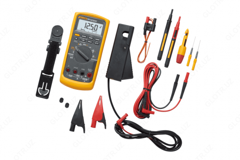 Fluke 88V / A Automotive Combo Kit