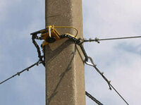 Спрут — раскрепляющее устройство - от {0} сум