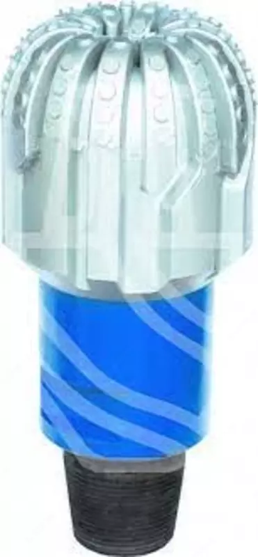 Emprenye qilingan bitlar