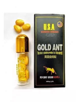 Gold Ant – Золотой Муравей