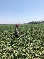 от {0} сум САГЕ