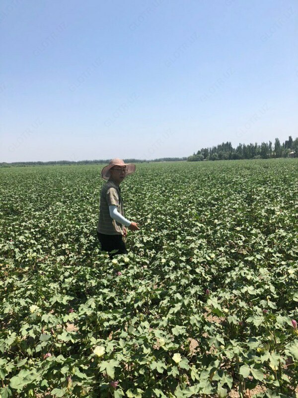 от {0} сум САГЕ