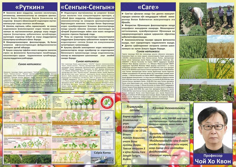 САГЕ Оптом и розница