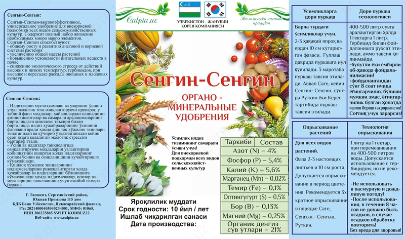 СЕНГЕН-СЕНГЕН