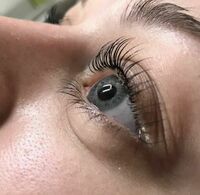 Ламинирование ресниц и бровей - 120 000 сум