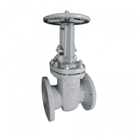 Chelik darvoza valfi 30s41nzh Du-400 Ru-16 - 24 000 000 so'mdan