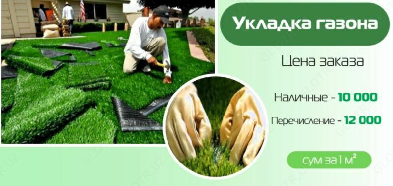 Maysazorni yotqizish