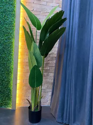 Uy va ofis uchun qozonlarda sun'iy daraxtlar