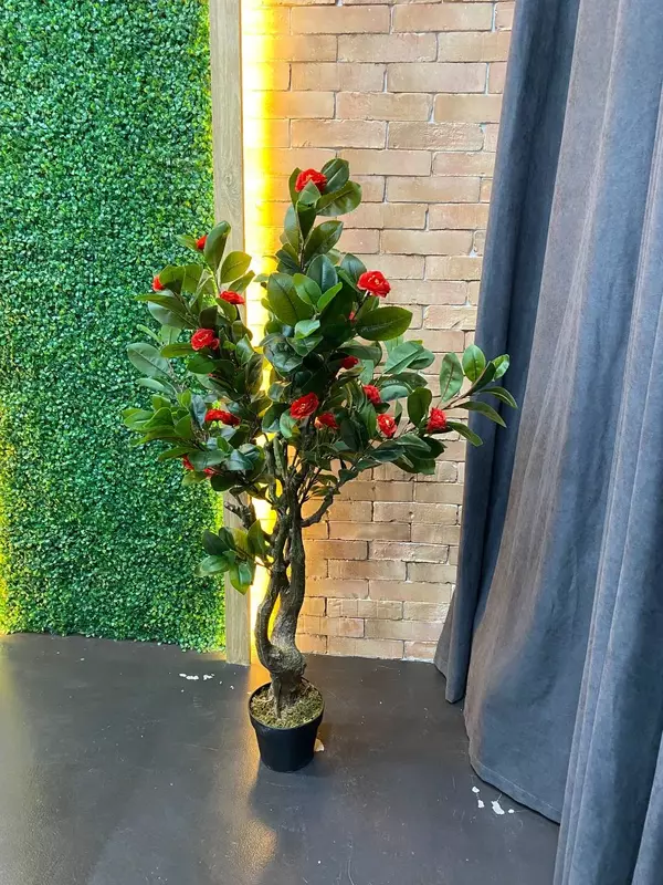 деревья в горшках