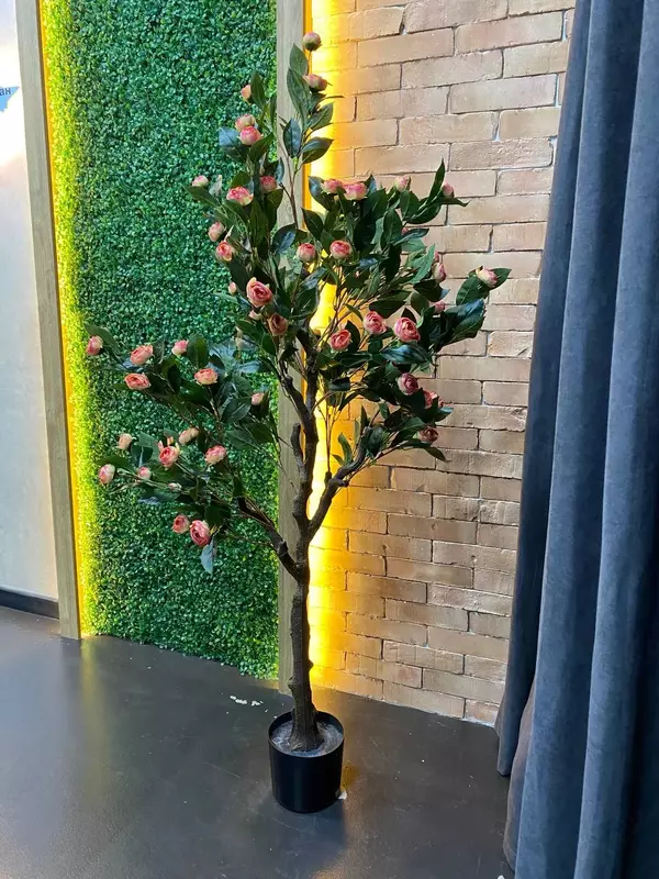 деревья в горшках - 1 136 506.9 сум