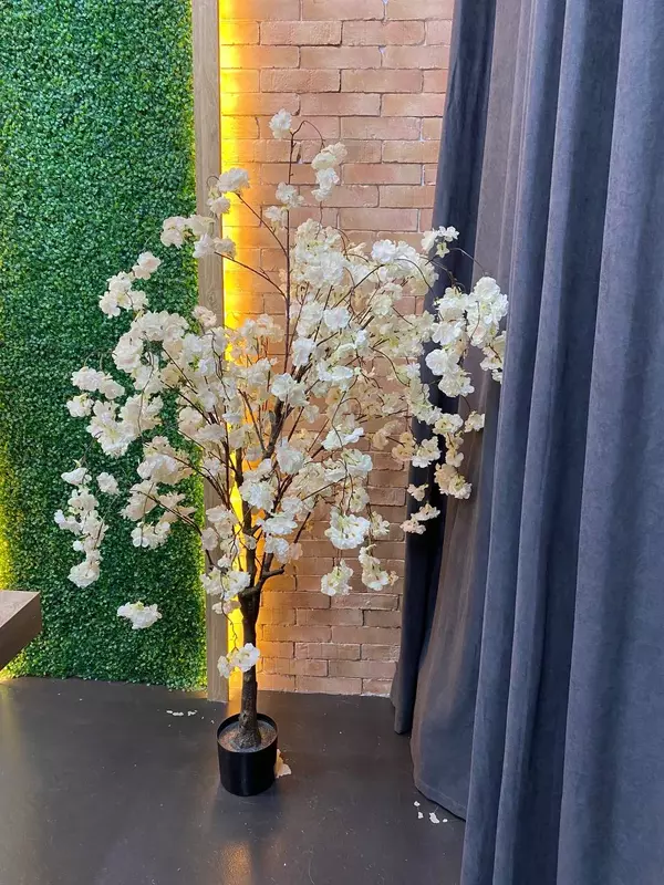 деревья в горшках