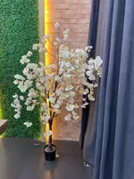 деревья в горшках