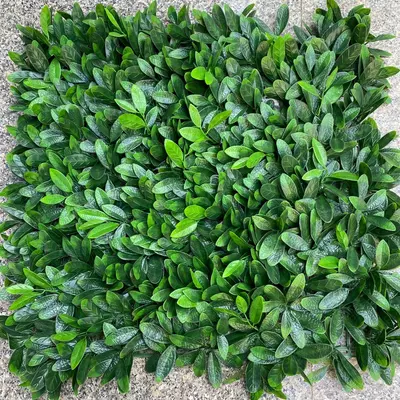 Искусственный самшит M14