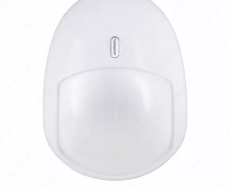 Manzilli IR detektori S2000-IK 02 versiyasi