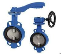 Затворы дисковые поворотные