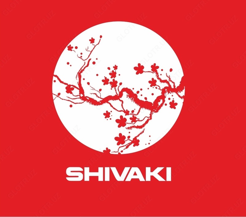 Стиральная машина Shivaki TC 100 P white