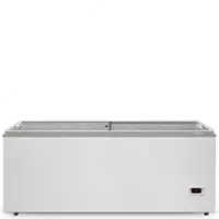 Морозильный ларь "BIRYUSA 560 DZQ" (Белый)