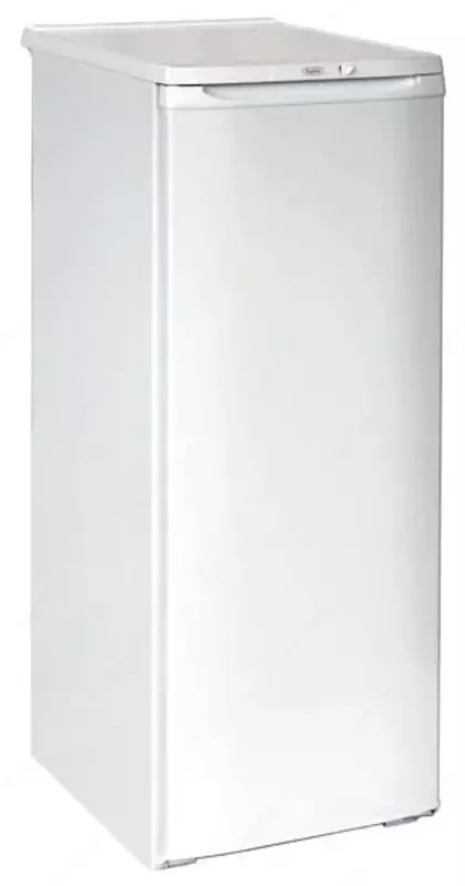 Бытовой однокамерный холодильник "Бирюса 110" (Белый)