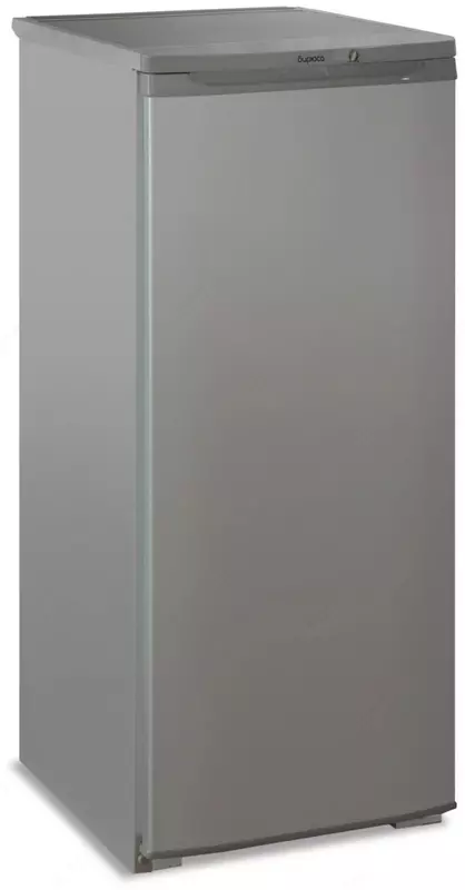 Бытовой однокамерный холодильник "Бирюса М110" (Металлик)