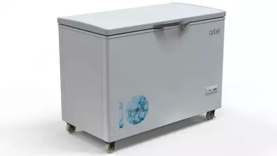 Морозильная камера "ARTEL AFС 370" (Белая)