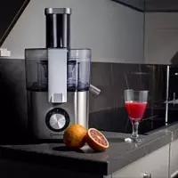 1 040 600 so'm Sharbat chiqargich "Hofmann SCJ01SS/HF" (kumush)