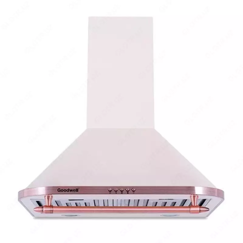 Kaput "Goodwell GWH-R 0260 I" (Ivuar) - 1 936 000 so'm