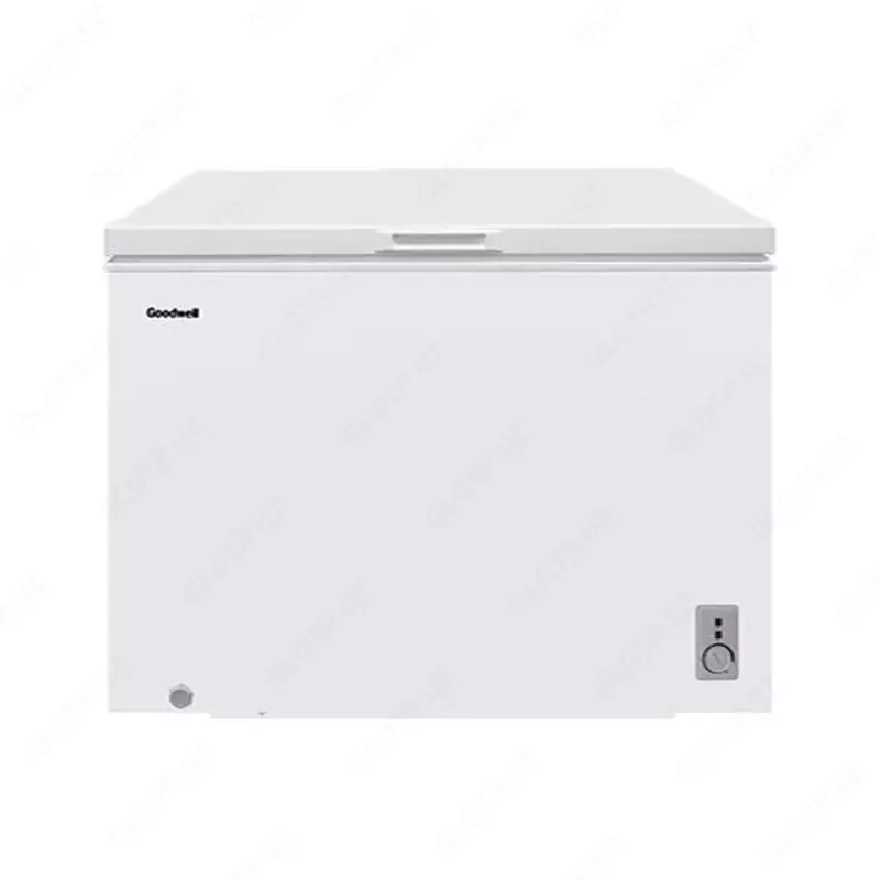 "Goodwell GW CF400 W2" muzlatgichi (oq)