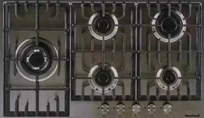 "Goodwell GWP-9562 X" gaz plitasi (po'lat)