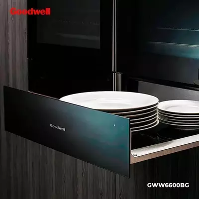 Elektron idish-tovoq isitgichi "Goodwell 6600 BG" (Qora)