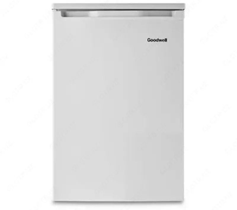 Бытовой мини-холодильник "Goodwell GW 113 X1" (Серый)