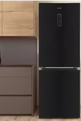 Ikki kamerali maishiy muzlatgich "Goodwell GW B318 BGL2" (Qora)