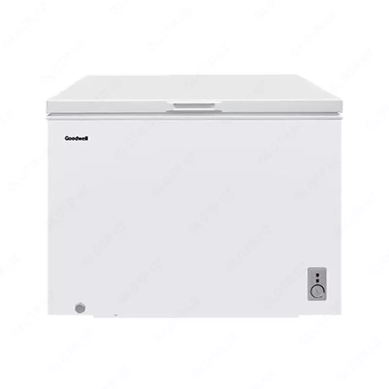 Морозильник Goodwell GW CF400 W2
