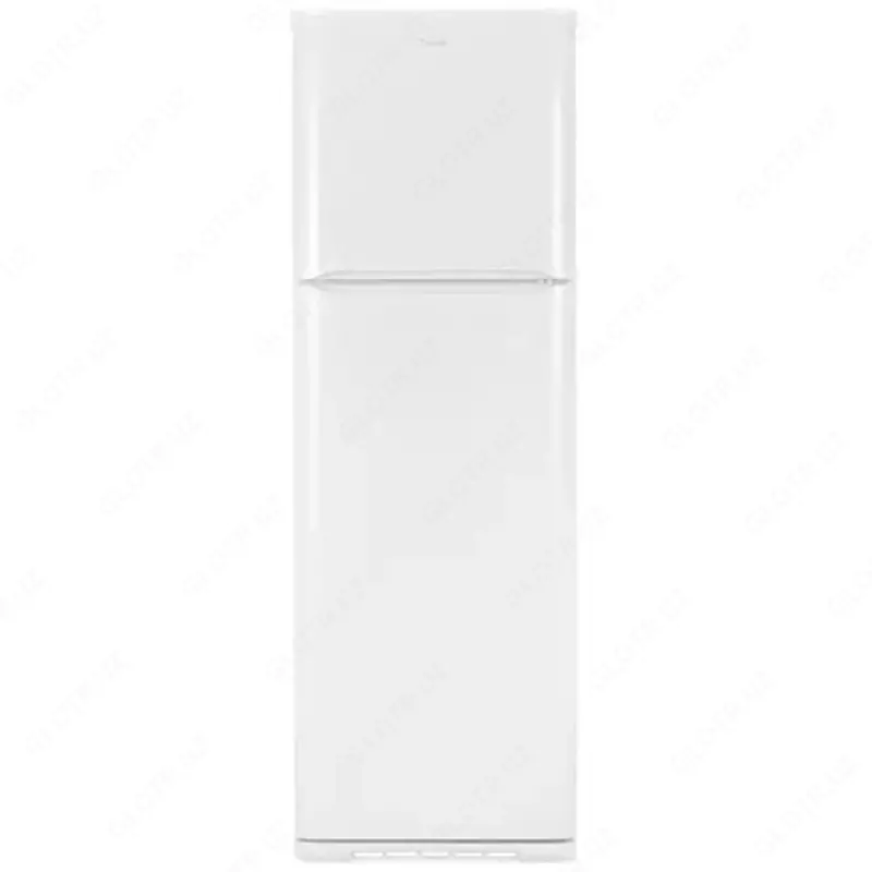 Бытовой двухкамерный холодильник "Бирюса 139" (Белый) 320 л