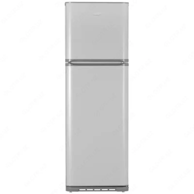 Бытовой двухкамерный холодильник "Бирюса М139" (Серебристый) 320 л