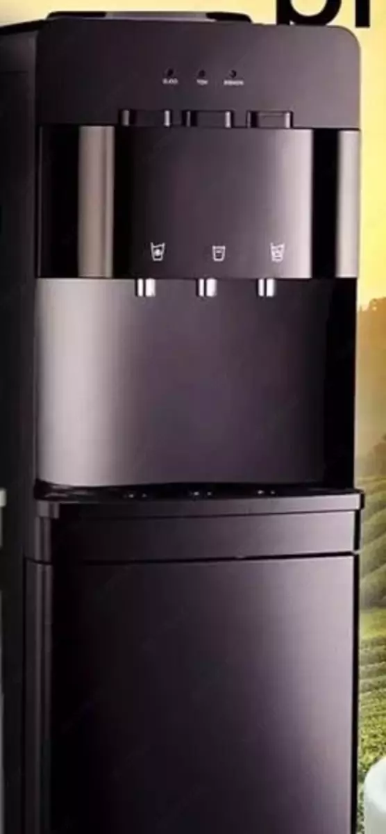 2023-07-04-13-13-36-856688-7217ebeb1eeea00bd4156917d0e0b8b8.webp?_=ozbol