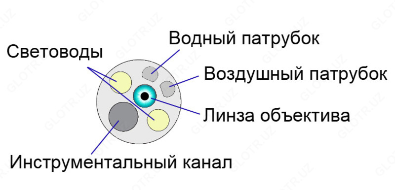  Гастрофиброскоп FG-29V  Pentax Medical (Япония) - 